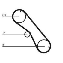 Curea de distributie CONTITECH