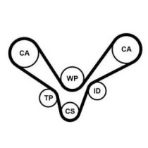 Curea de distributie CONTITECH