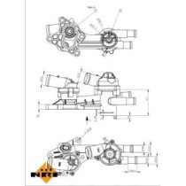 Termostat,lichid racire NRF