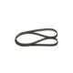 Curea transmisie cu caneluri BOSCH Multi-V-belt 6PK2513 pentru MERCEDES E T-MODEL S210 E W210 S C140 S W140 SL R129 VOLVO S80 II XC90 I CHRYSLER GRAND VOYAGER III DODGE CARAVAN 2.0-5.0 02.91-06.13