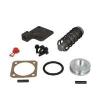 Repair Kit, differential 