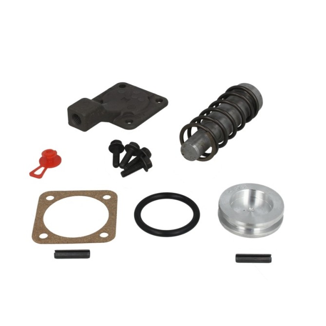 Repair Kit, differential 