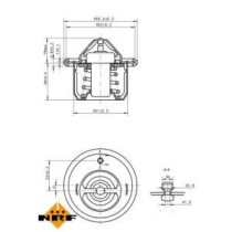 Termostat,lichid racire NRF