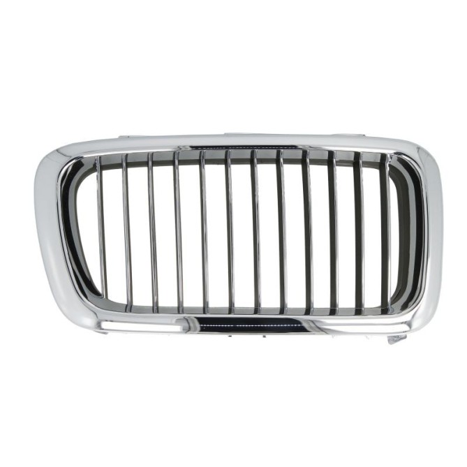 Grila radiator BLIC