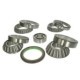 Repair Kit, differential 