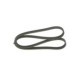 Curea transmisie cu caneluri BOSCH Multi-V-belt 6PK1352 1352.0 mm pentru SEAT TOLEDO II VW BORA GOLF IV 2.3 08.97-06.06