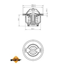 Termostat,lichid racire NRF