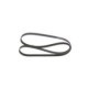 Curea transmisie cu caneluri BOSCH Multi-V-belt 6PK1698 1698.0 mm pentru AUDI A1, BMW 1-3, 4 (F20-F34) 1.4-3.0D 08.92-