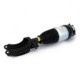 Brat arc pneumatic ARNOTT EUROPE Air module front R pentru PORSCHE CAYENNE VW TOUAREG 3.0D-4.8 01.10-