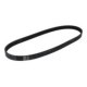 Curea transmisie cu caneluri BOSCH Multi-V-belt 6PK1059 pentru VOLVO C30, S40 II, V50, FORD C-MAX, FOCUS II, FOCUS III, dimensiune 1059 mm