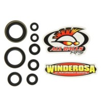 Set garnituri pentru motor WINDEROSA