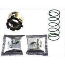 Accessory Kit, brake shoes 