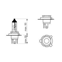 Bec incandescent BOSCH