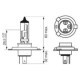 Bec incandescent BOSCH H4 12V 60/55W P43T ambalaj blister 1buc luminozitate 120% IVECO DAILY II MERCEDES 123 (C123) 123 T-MODEL (S123) 123 (W123)