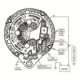 Alternator PRESTOLITE ELECTRIC 28V 120A nou pentru MAN TGS I D2066LF28-D2676LF57 04.07-09.21