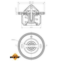 Termostat,lichid racire NRF