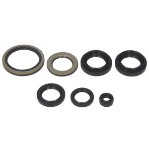 Set garnituri pentru motor WINDEROSA