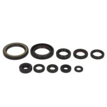 Set garnituri pentru motor WINDEROSA