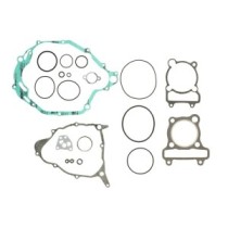 Set garnituri complet, motor WINDEROSA