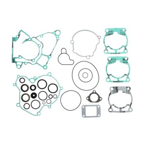 Set garnituri complet, motor WINDEROSA