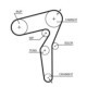 Curea de distributie GATES 24.0 mm lățime 1520.0 mm lungime 190 dinti ALFA ROMEO 147 156 159 FIAT BRAVO II CROMA DOBLO GRANDE PUNTO