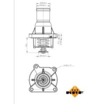 Termostat,lichid racire NRF