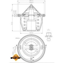 Termostat,lichid racire NRF