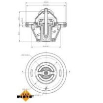 Termostat,lichid racire NRF