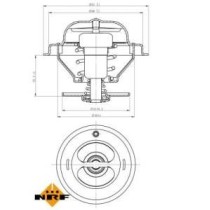 Termostat,lichid racire NRF