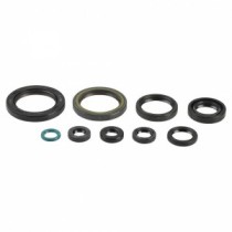 Set garnituri pentru motor ATHENA