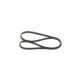 Curea transmisie cu caneluri BOSCH Multi-V-belt 6PK1698 1698 mm pentru BMW 1 E81 E82 E87 E88 3 E90 E91 E92 E93 2.0D 3.0D 06.04-12.13