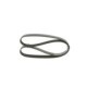 Curea transmisie cu caneluri BOSCH Multi-V-belt 7PK1140 1140 mm pentru NISSAN CUBE, MICRA C+C III, MICRA III, NOTE, NV200, TIIDA 1.5/1.6