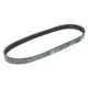 Curea transmisie cu caneluri BOSCH Multi-V-belt 6PK842 842 mm 6 nervuri compatibil AUDI A1 A3 TT SEAT ALTEA IBIZA SKODA FABIA