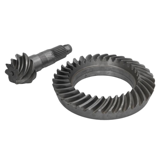 Taler -/ con pinion set EURORICAMBI