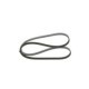 Curea transmisie cu caneluri BOSCH Multi-V-belt 4PK1160 1160 mm pentru HONDA CR-Z, INSIGHT, JAZZ III 1.3H/1.5H 04.09-