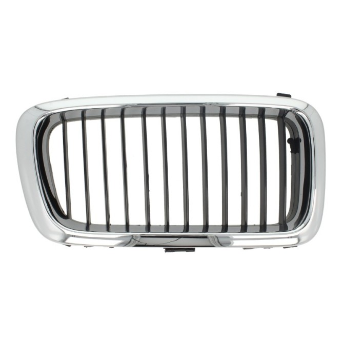 Grila radiator BLIC