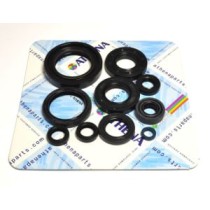 Set garnituri pentru motor ATHENA