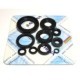 Set garnituri pentru motor ATHENA