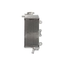 Radiator, racire motor 4 RIDE