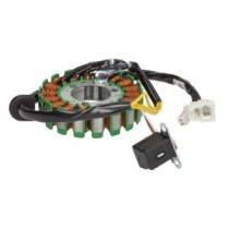 Stator de alternator DZE