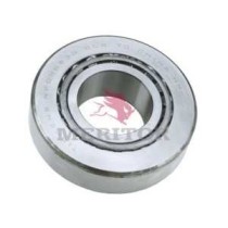 Bearing, differential 