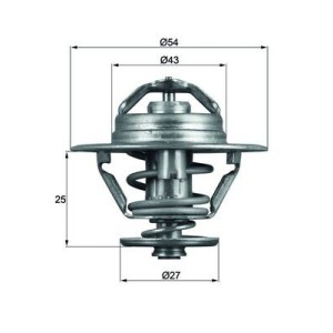 Termostat,lichid racire MAHLE