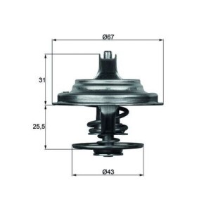 Termostat,lichid racire MAHLE