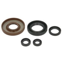 Set garnituri pentru motor WINDEROSA