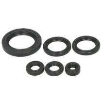 Set garnituri pentru motor WINDEROSA