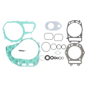 Set garnituri complet, motor WINDEROSA