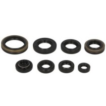 Set garnituri pentru motor WINDEROSA