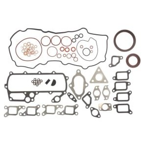 Set garnituri complet, motor REINZ