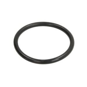 O-ring ZF