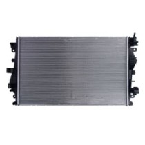 Radiator, racire motor DENSO